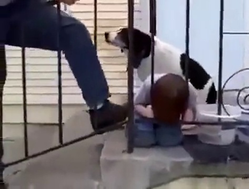 Ce garçon se retrouve la tête coincée entre deux barreaux, regardez l'idée qu'il va avoir pour s'en sortir