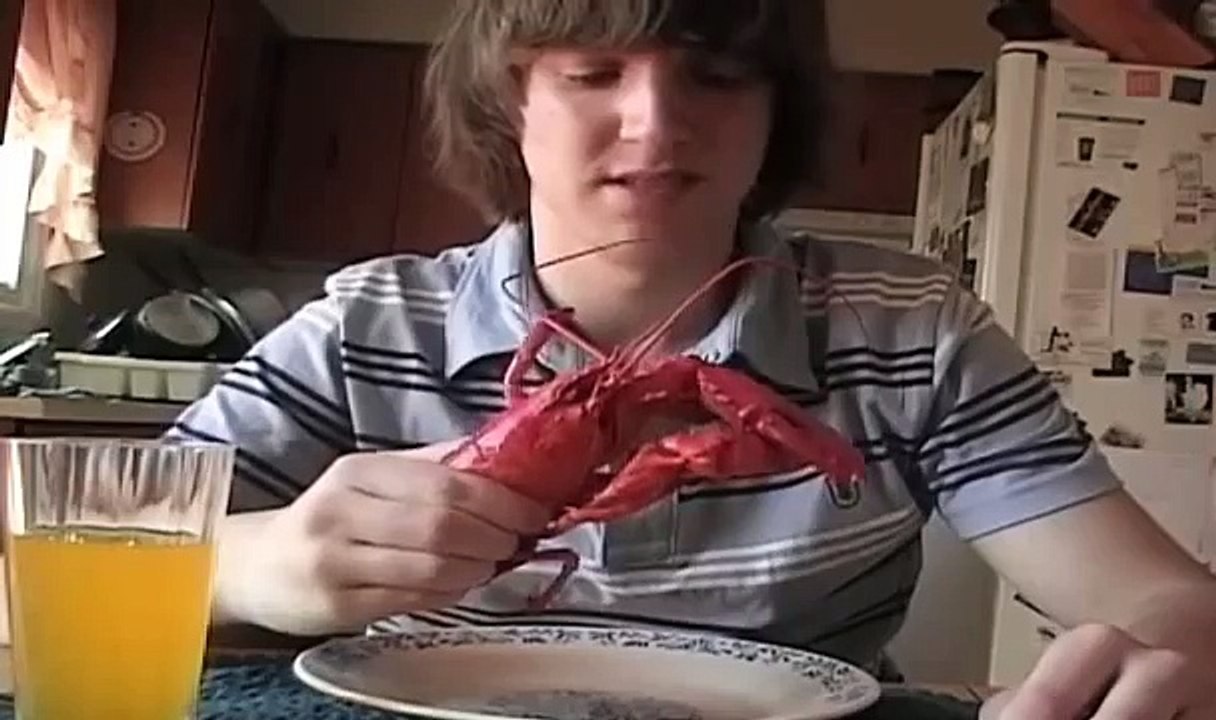 Lobster for Lunch
