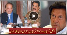 Imran Khan's Big Statement On Raheel Sharif And Nawaz Sharif