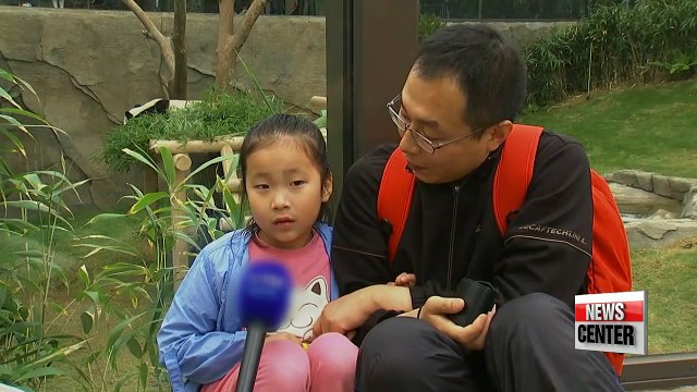 Everland Panda World grand opening, pandas from China unveiled to public