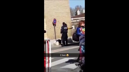 Des policiers tapés par une folle