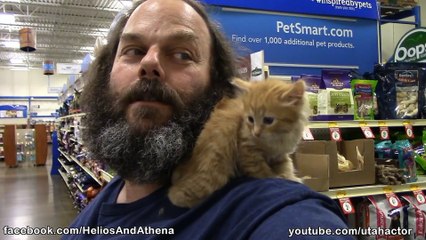 First Visit to PetSmart for Athena the Cute Ginger Kitten