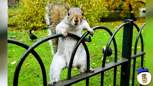 10 People Who Called 911 For The Dumbest Reasons Ever