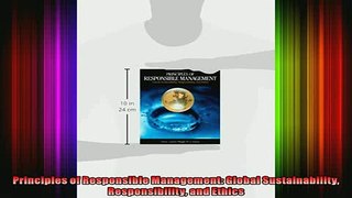 READ book  Principles of Responsible Management Global Sustainability Responsibility and Ethics Full EBook