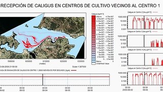 Análisis de impactos sanitarios de Caligus en Canal Chacao