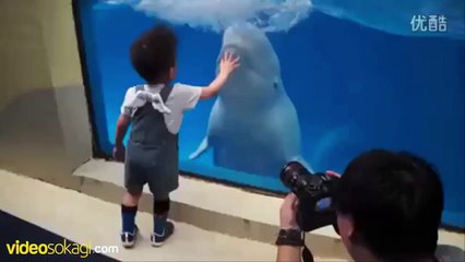 Yaramazlık yapan yavru balina