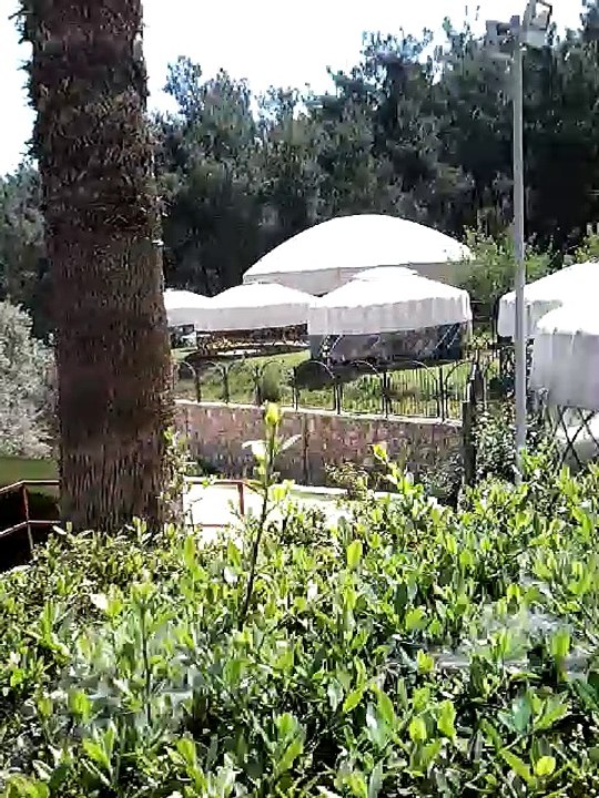 Licensed Turkish Tour Guide Travels and Shows: Kazakhi Valley in Kemalpasa-İzmir-Turkey