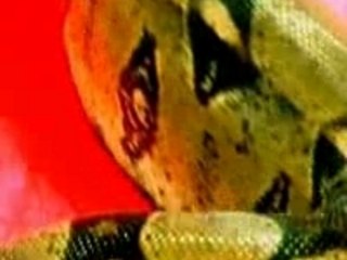 Perle Lama Feat Krys-Viens Avec Moi-Svcd-Fr-2005-Ogvidz