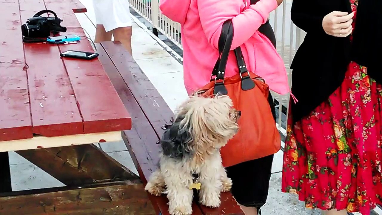 MIT SAILING PAVILION - Cambridge, MA