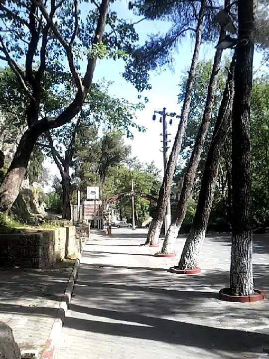 Profesyonel Turist Rehberi Geziyor ve Anlatıyor: İzmir Kemalpaşa Dere Mesire Alanı