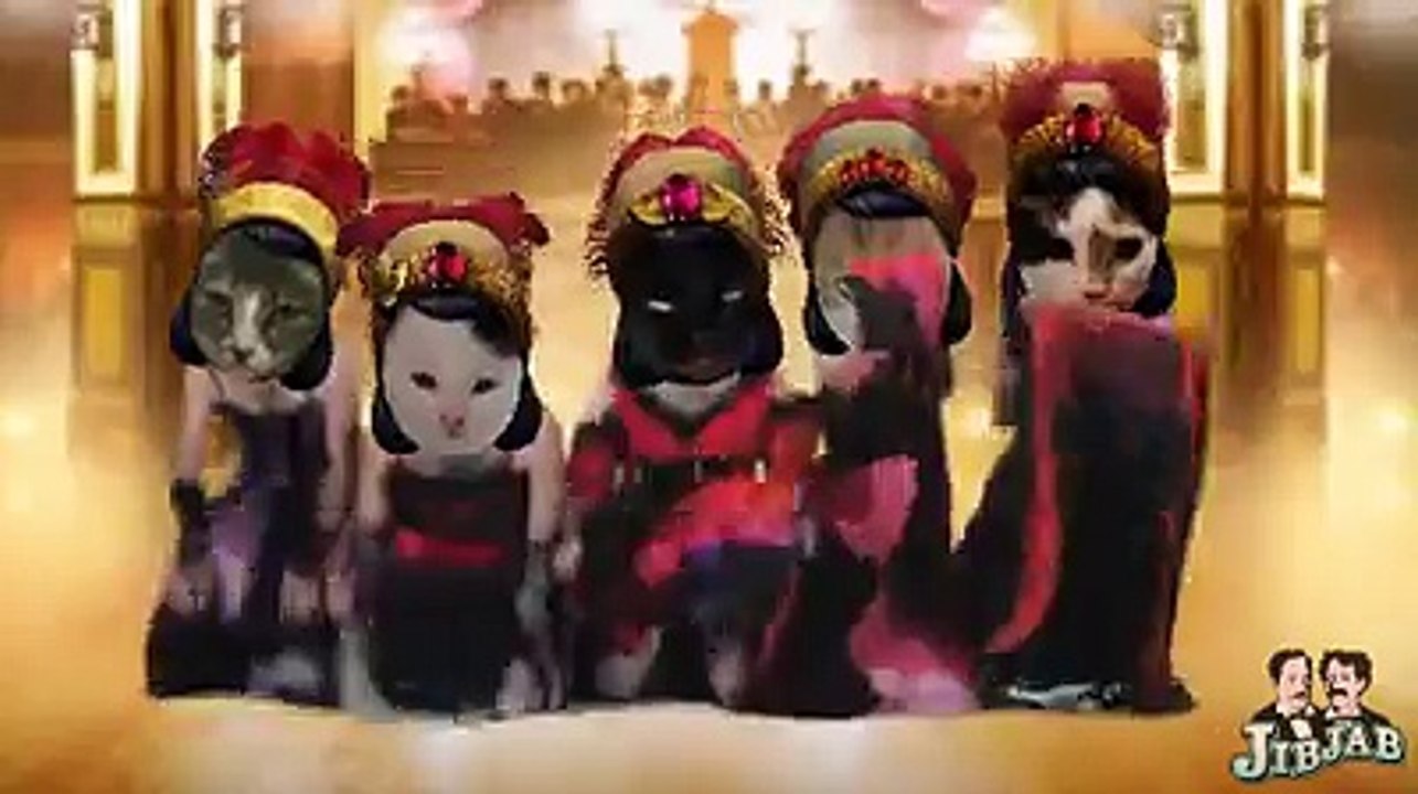 CanCan 5