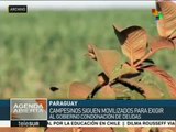 Campesinos de Paraguay marchan para exigir al Estado apoye más al agro