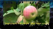 Appletree - Samsung SC-HMX20C HD1080