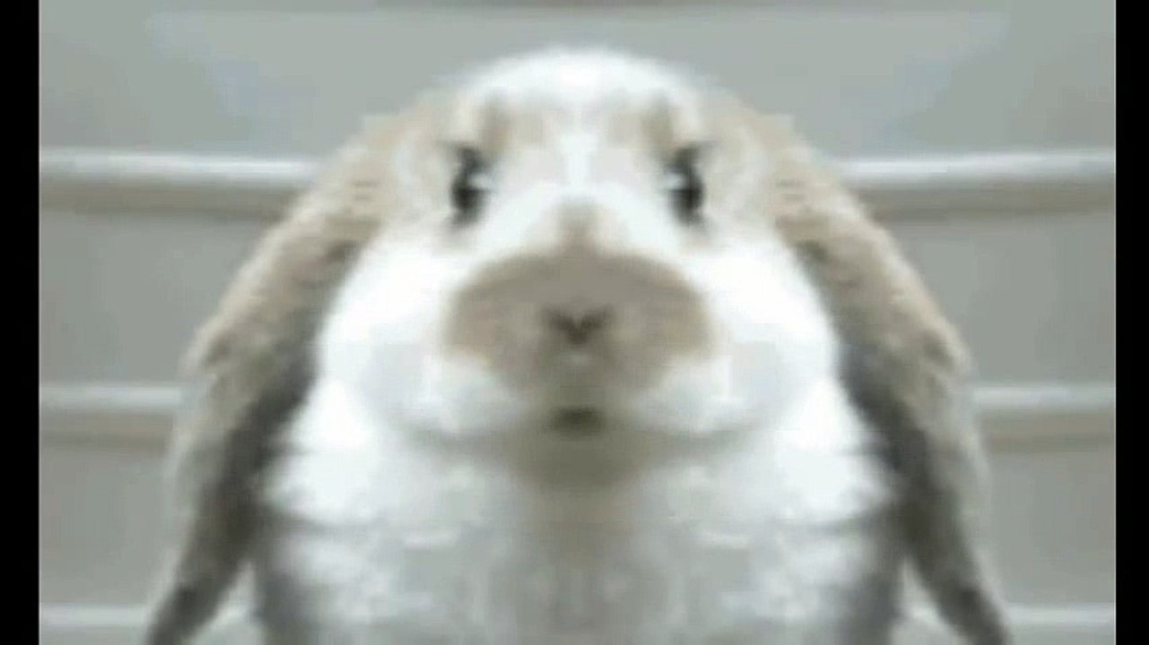  Tristesse Contemporaine 