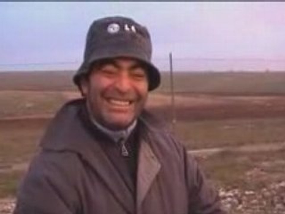 Il Fungiajele