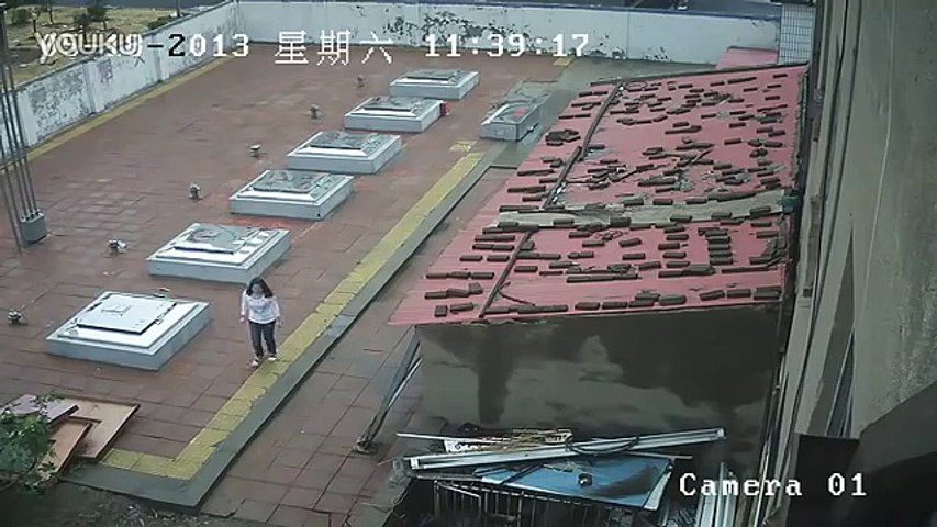 Tibetan mastiff attacking caught on tape
