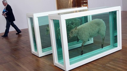 Has Damien Hirst's art been leaking formaldehyde gas