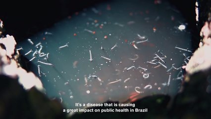 Un panneau publicitaire tueur de moustiques pour vaincre Zika