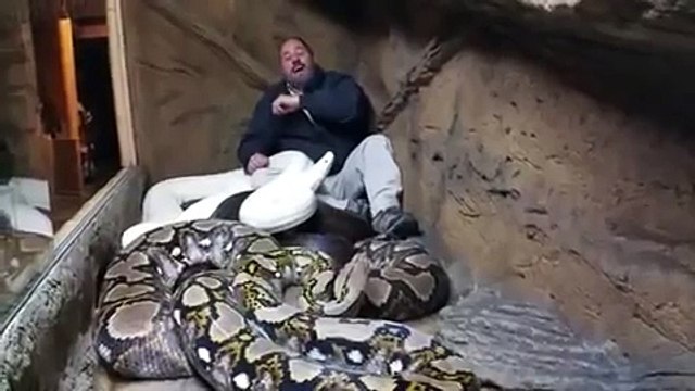 Crazy Man Laughs While Giant Albino Python Attacks. The Snake Ev
