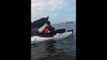 Kayaker's Extremely Close Encounter With Whale in Vancouver Bay