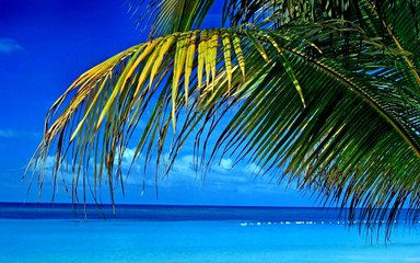 François Libelle - défoulé