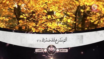 سورة الشرح - جزء عم | طيور الجنة