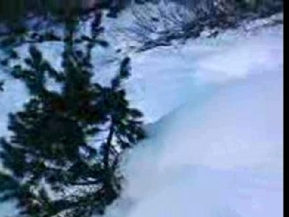 Saut de sapin