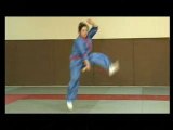 Les techniques de Kung Fu Wushu avec et sans armes