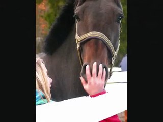 ♥Xiomara ~I'll find a way, to see u again~