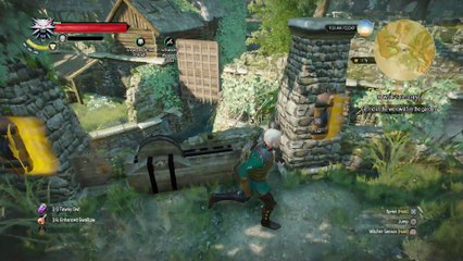 WITCHER 3 DEATH MARCH! WALKTHROUGH 136 - IN WOLF'S CLOTHING