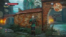 WITCHER 3 DEATH MARCH! WALKTHROUGH 138 - HONOR AMONG THIEVES & GET JUNIOR