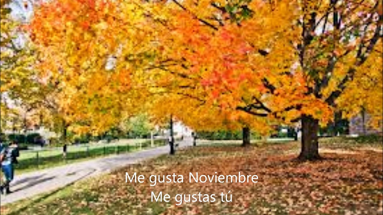 Me Gustas Tú (For Spanish Class)