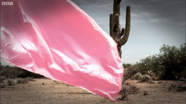 Ford Raptor versus Parachutist Top Gear USA Series 1