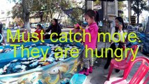2015_01_17 Children work in Vietnam AEA Travel