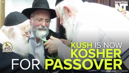 Weed Is Kosher For Passover