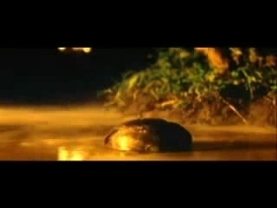 Full Metal Jacket Feats Apocalypse Now