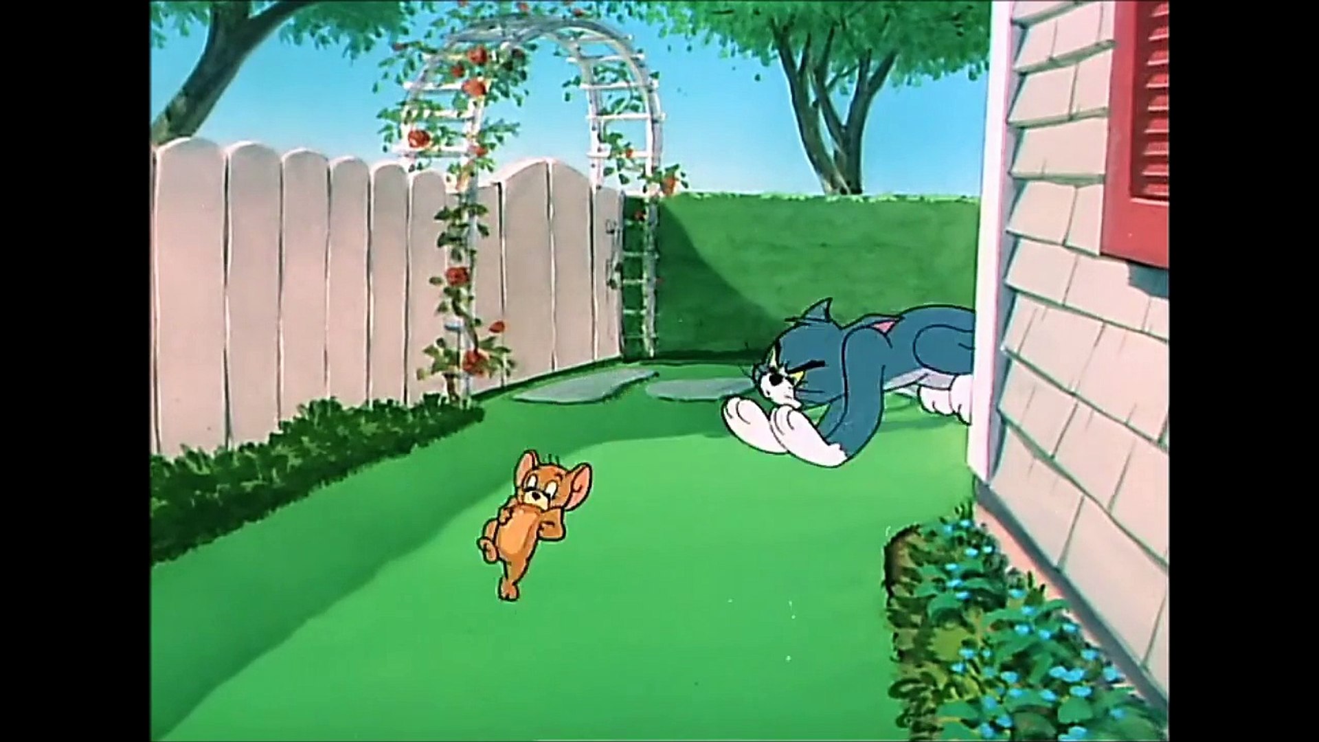 Tom and Jerry, 60 Episode - Slicked-up Pup
