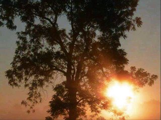 Hoert was ich hoere...ist Das nicht unglaublich friedlich?