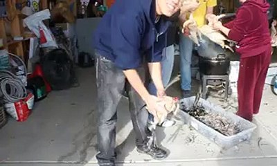 Headless chicken makes noise