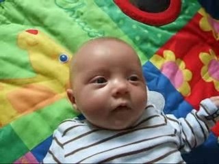 ça gazouille pas mal!