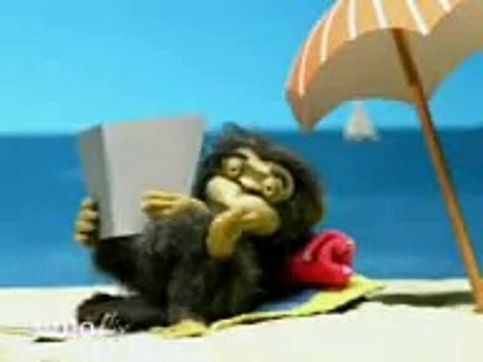macaco
