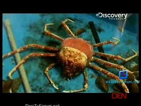 You Have Been Warned 17th December 2014 Video Watch Online pt2