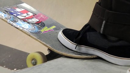 ..Animal Planet Jungle Bogen..