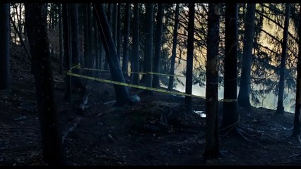 Девушка в поезде  (2016)