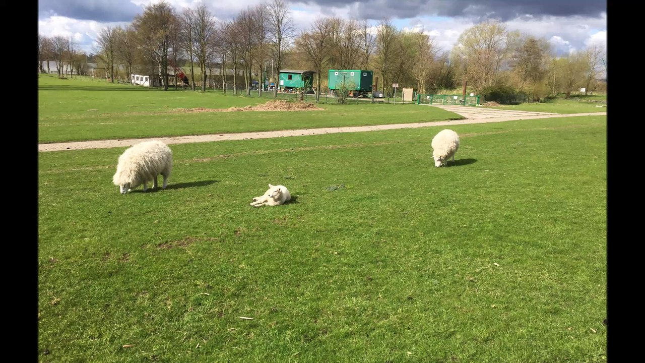 BestandAufnahme - Hetlinger Schanze April 2016 /Full Film/Complete Movie/Ganzer Film