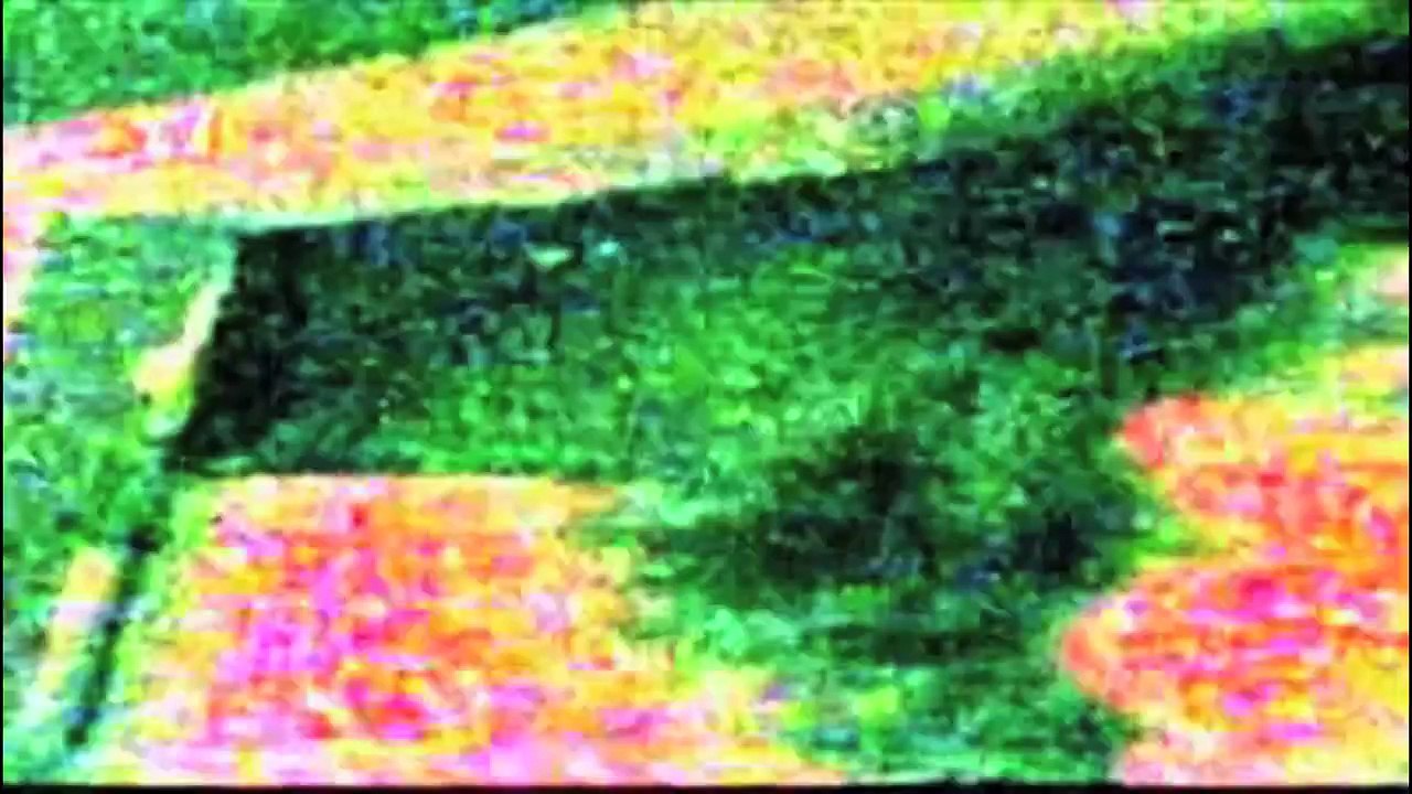 Musiker - The Age Of Sound 2008 /Full Film/Complete Movie/Ganzer Film