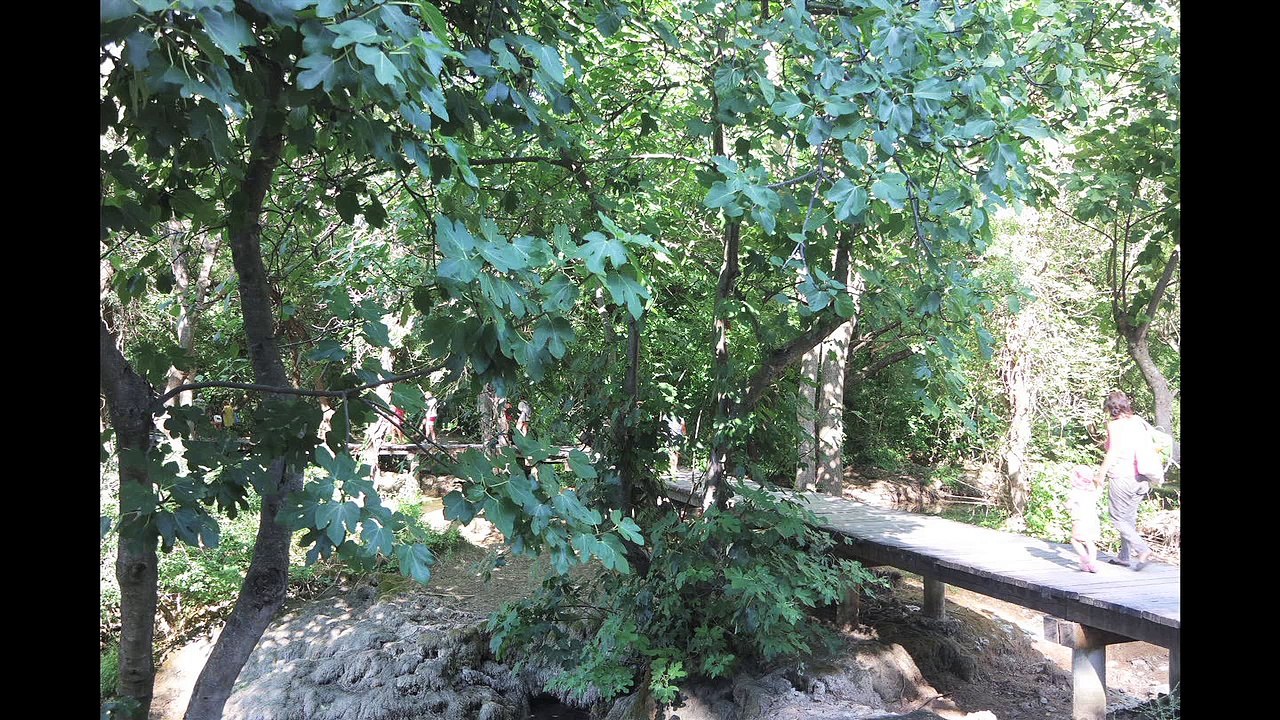 Maestral - Dalmatien 2015 /Full Film/Complete Movie/Ganzer Film