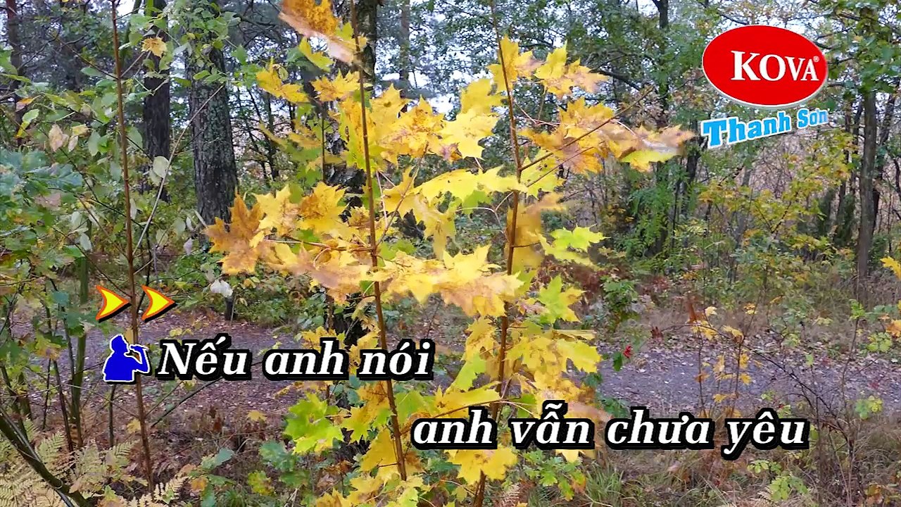 [KaraoKe] Trái Tim Không Ngủ Yên - Đôn Hồ & Như Quỳnh (Audio) Mới