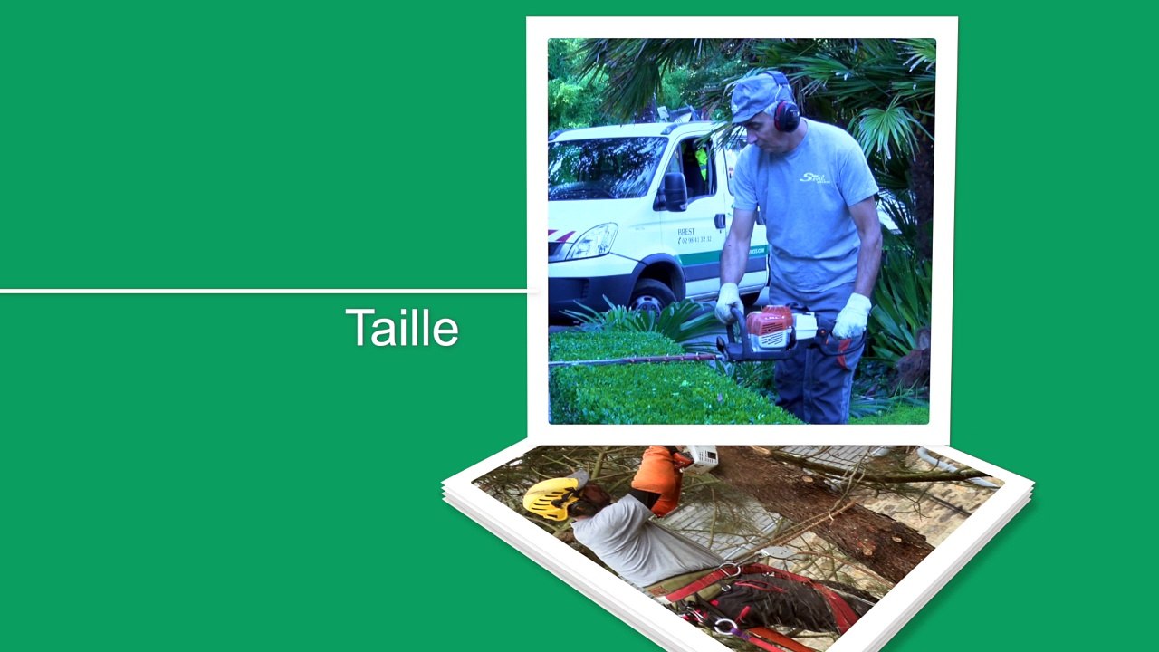 SEVEL SERVICES Métier espaces Verts