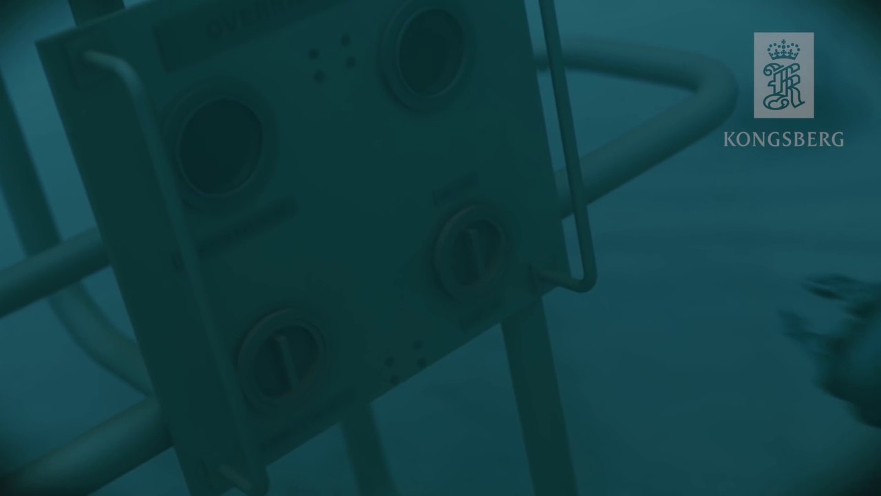 Swimming robot for maintenance and inspections